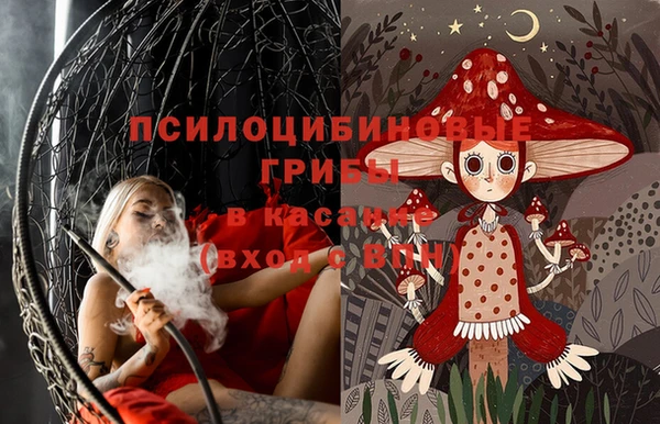 не бодяженный Арсеньев