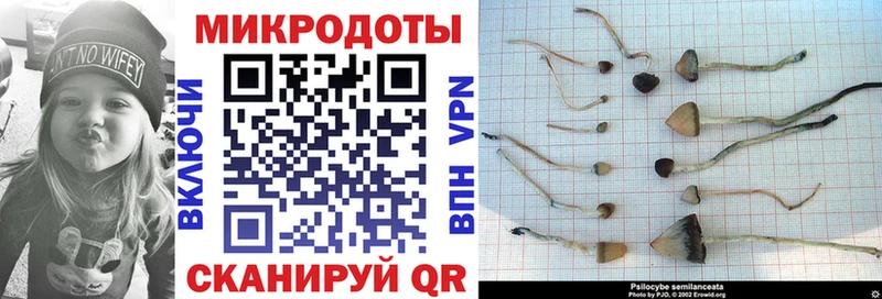 darknet телеграм  как найти наркотики  Лиски  Псилоцибиновые грибы Magic Shrooms 